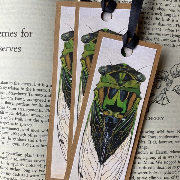 Handmade Bookmark - Original Painting By Amanda Nutzman - Naturalist Gift - Small Gift - Insect Art - Book Lover - Cicada -
