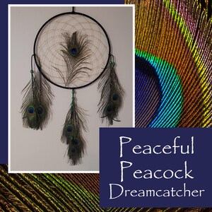 May include: A circular dreamcatcher with a black frame and woven centre, decorated with peacock feathers and green beads. The text "Peaceful Peacock Dreamcatcher" is on a navy blue background.