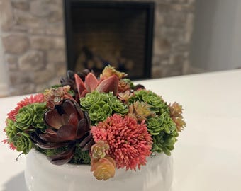 Arreglo de suculentas artificiales / Maceta de cerámica blanca en tonos rosa y burdeos