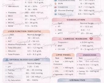 Lab-Werte-Referenzblatt