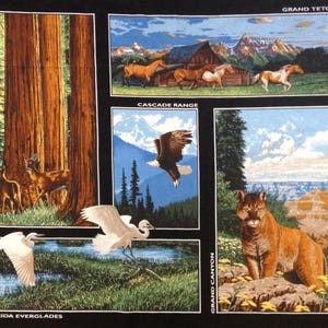 Amerika the Beautiful Wildlife Stoff Panel, Nationalparks, Mammutwald, Florida Everglades, Grand Canyon, Cascade Range, Tetons