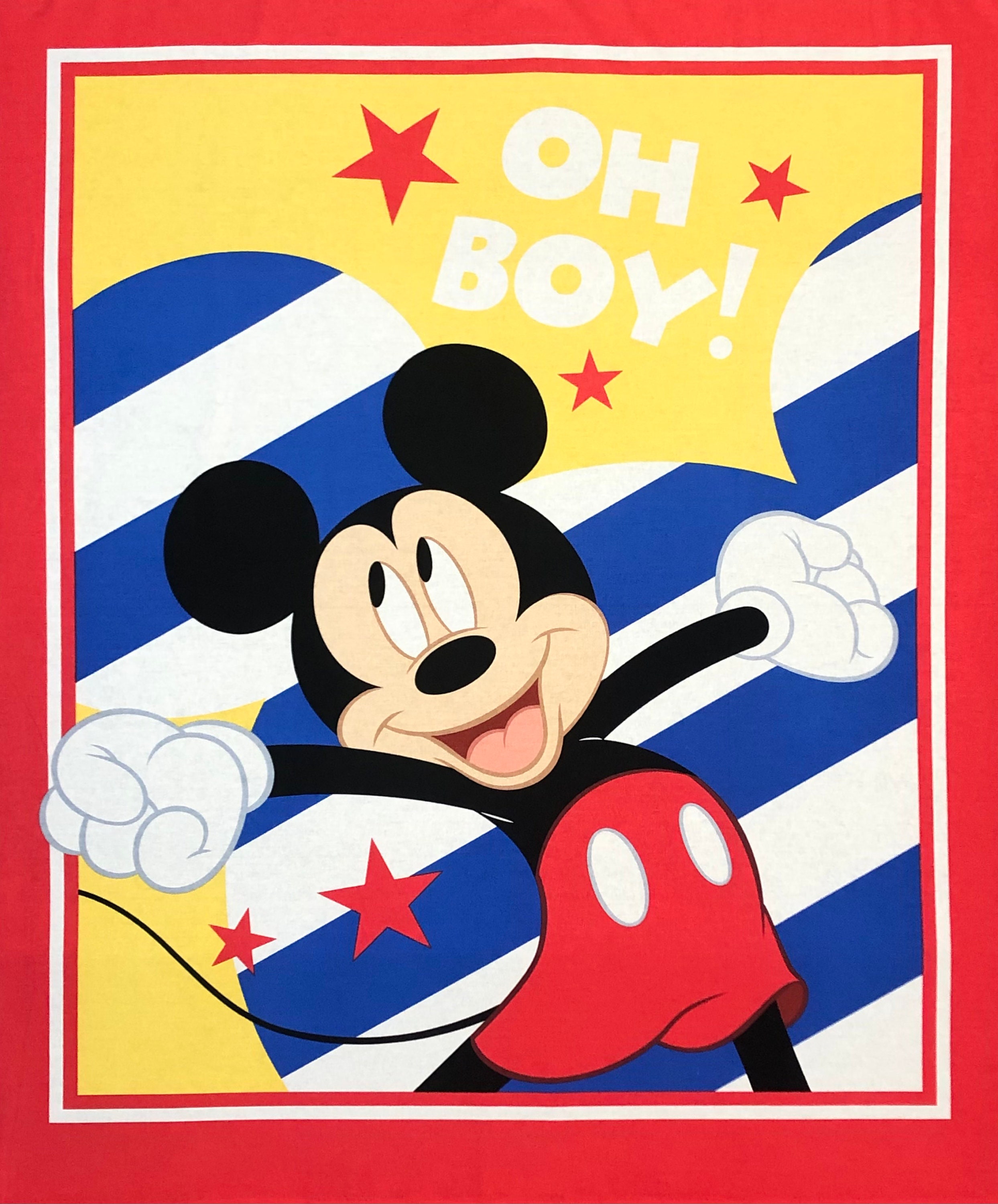 USA ビンテージ ディズニー ミッキーマウス ミニー　ベッドキルト キャンプ USA ビンテージ ディズニー ミッキーマウス ミニー ベッドキルト