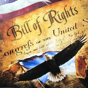 United States Bill of Rights USA Patriotic Constitutional Amendment Land of Liberty fabric panel, American Flag, Bald Eagle, David textiles