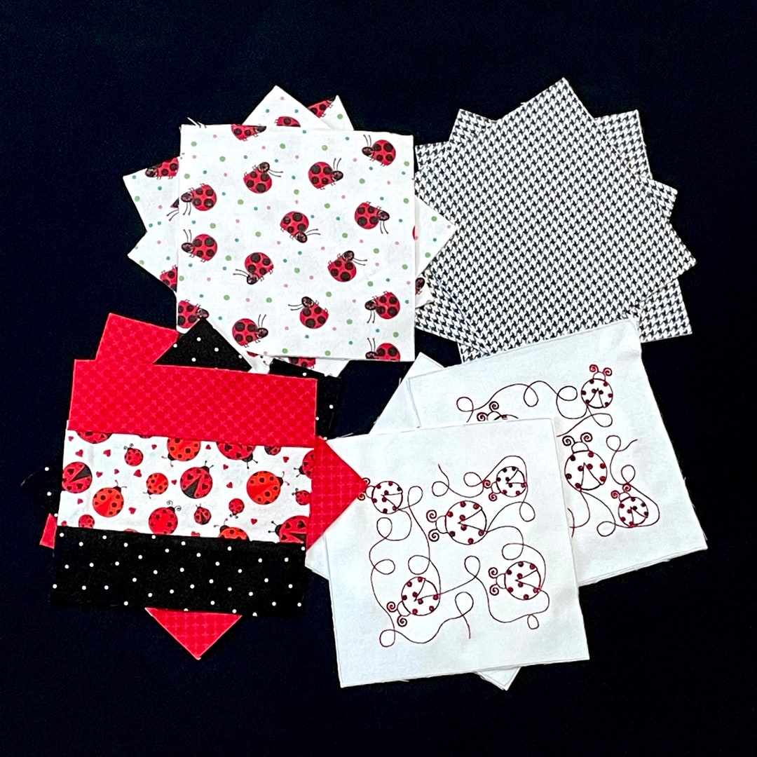 Bug Patchwork 42 Ladybug Embroidered 7