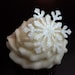Melissa Myrdycz reviewed Edible Snowflakes 24 Assorted white Glitter