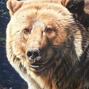 Wild and Beautiful Bear fabric panel, Wildlife Fabric, grizzly, digitally printed broadcloth Fabric Panel by Riley Blake Designs 35x44&quot;