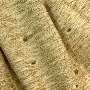 Tessuto effetto legno, Pinewood Acres di Riley Blake, legno di fienile, corteccia d'albero, marrone, venature del legno, betulla, noce, pino, venduto tagliato su misura
