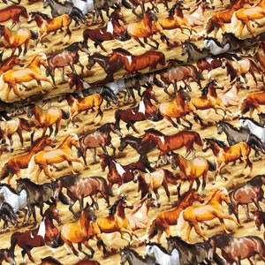 Western cowboy horse fabric, Wild Wild West, canyon dessert scene, by Studio E, black Cotton western cowboy rodeo Fabric, sold By the Yard
