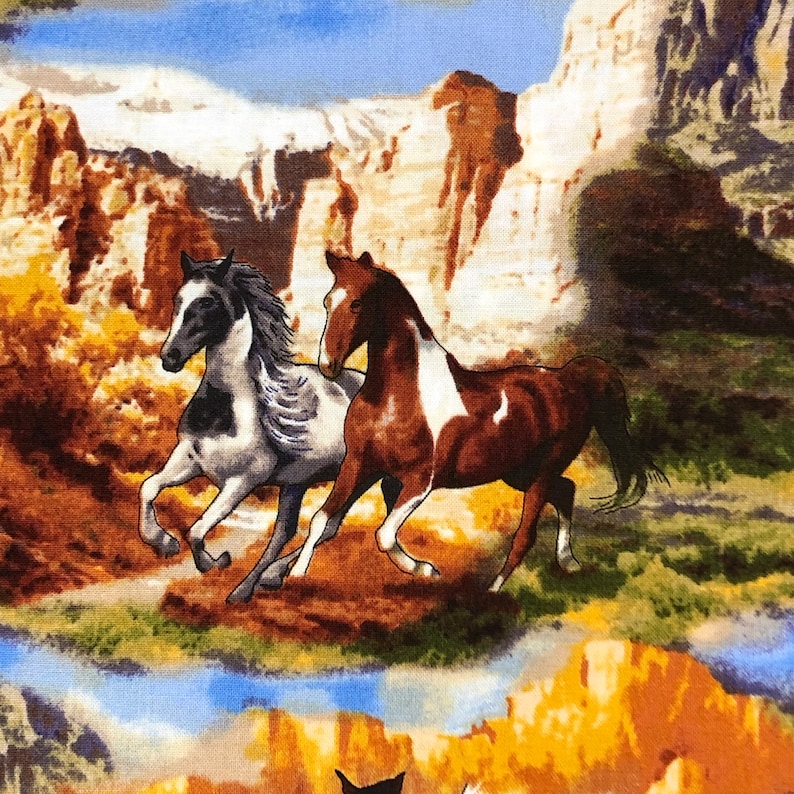 May include: Two horses running through a desert landscape with rocky cliffs in the background. The horse on the left is black and white, while the horse on the right is brown and white.