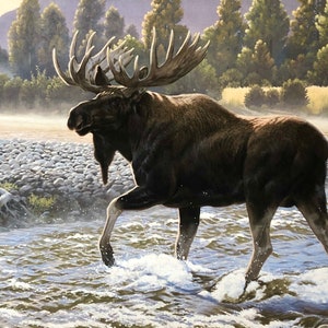 Natures Finest moose, Wildlife wilderness outdoor, cotton fabric, green brown tan, fall hunt, river stream, forest Autumn scene, Riley Blake