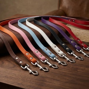 Könnte beinhalten: Eine Auswahl an Hundeleinen aus Leder in verschiedenen Farben: Braun, Orange, Rosa, Hellblau, Weiß, Schwarz, Lila und Rot. Jede Leine hat einen silberfarbenen Metallverschluss und Nieten, die auf einer Holzoberfläche angeordnet sind.