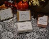 Banana Nut Bread Caramel Popcorn Pumpkin Caramel Crunch Apple Harvest Soy Wax Melts Fall Scents