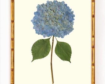 Blue Hydrangea Wall Art Print | Botanical Flower Giclée Fine Art Print | Coastal Grandmillennial Decor | Dried Flower Art | Hydrangea No. 4