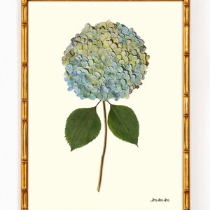 Multicolor Hydrangea Wall Art Print | Blue Pink Green Botanical Floral Art | Giclée Fine Art Print | Hydrangea No. 5 image 1