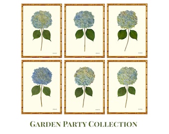 Hydrangea Wall Art Print Set of 6 | Botanical Giclée Fine Art Prints | Grandmillennial Decor | Garden Party Collection