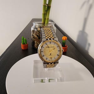 May include: A gold and silver Pierre Cardin quartz watch with a gold dial, Roman numeral hour markers, and a date window. The watch has a two-tone stainless steel band. The watch is displayed on a clear acrylic stand.