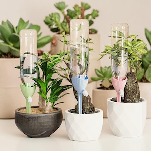 May include: Three potted plants with self-watering devices. Each device has a clear plastic bottle filled with water, connected to a coloured plastic stake. The pots are in shades of grey and white, with green plants. Other potted plants are in the background.