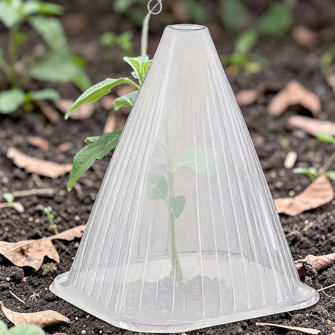 Conical Plant Protector, Seedling Garden Cover, Frost Pest Guard Dome ...