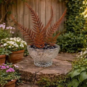 May include: A clear, decorative glass bowl filled with black stones and rust-colored fern fronds. The bowl sits on a stone surface in a garden setting, surrounded by potted plants and a wooden fence.