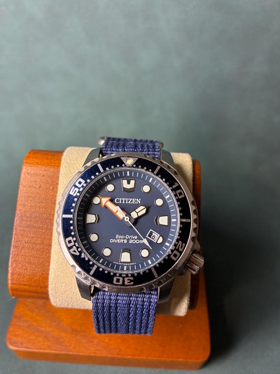 Citizen Promaster Diver Ecodrive Watch