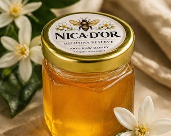 Limited Batch Melipona Honey – Rare Raw Miel de Jicote | Small-Batch Reserve |1.5 oz