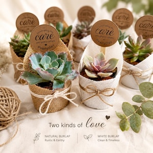 May include: Several small succulent plants in burlap and white fabric pots, tied with twine. Each plant has a round tag that reads "Celebrating the care you give to others everyday." The text "Two kinds of love" is also visible.