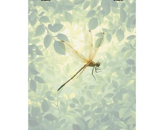 Dragonfly Illustration Matte Vertical Poster | Botanical Leaf Light