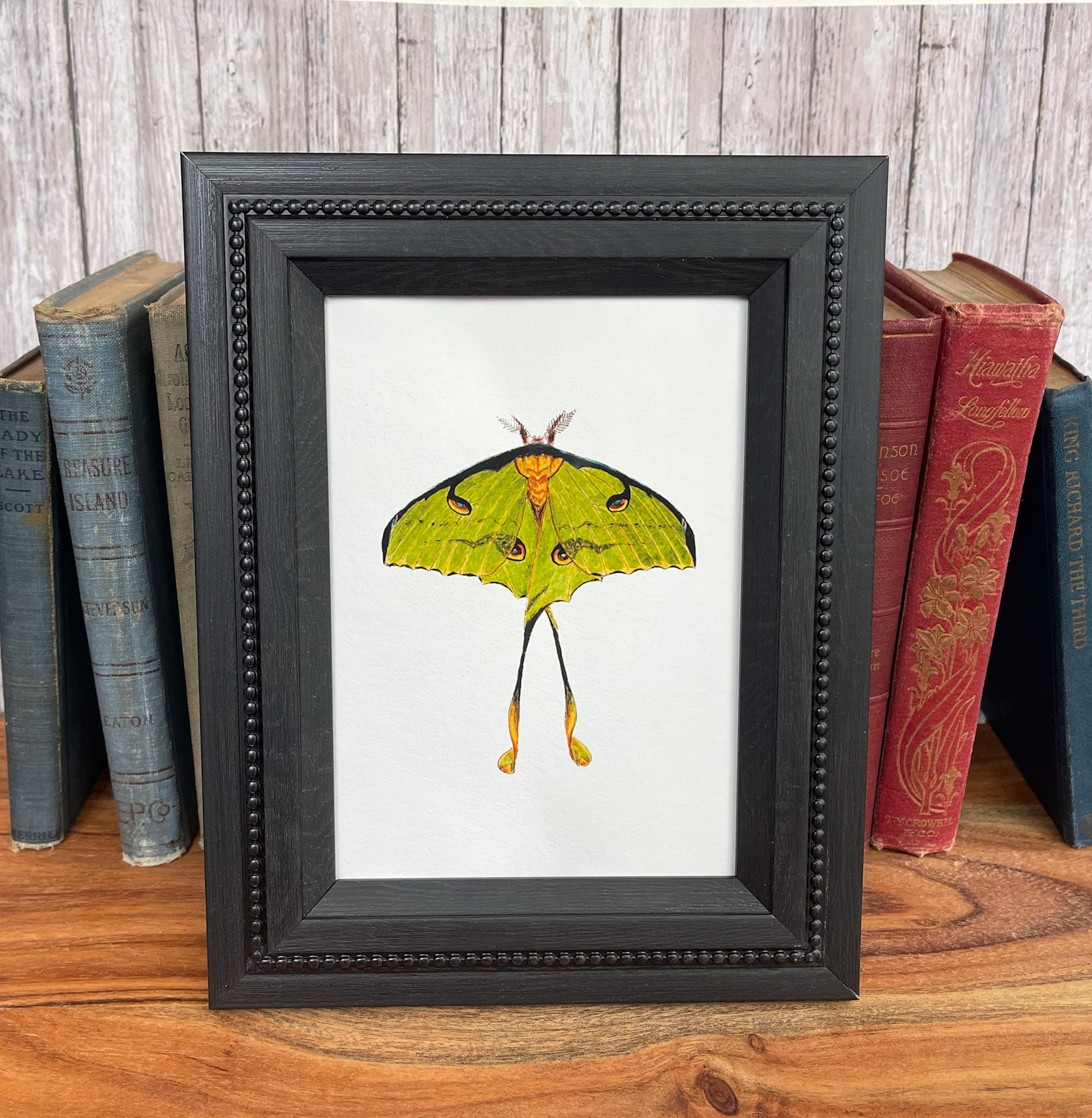 Luna Moth Watercolor Print, Giclée Fine Art Print, Moon Moth, Green ...