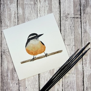 May include: Watercolor painting of a small brown, black, and white bird perched on a branch. The bird is facing to the left and has a long, thin beak.