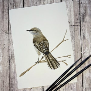 Northern Mockingbird Watercolor Print, Giclée Fine Art Print, Eastern Phoebe, songbird, bird print