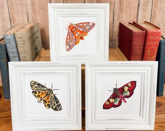 Moth Watercolor Print, Giclée Fine Art Print, moth art, nature art, wings