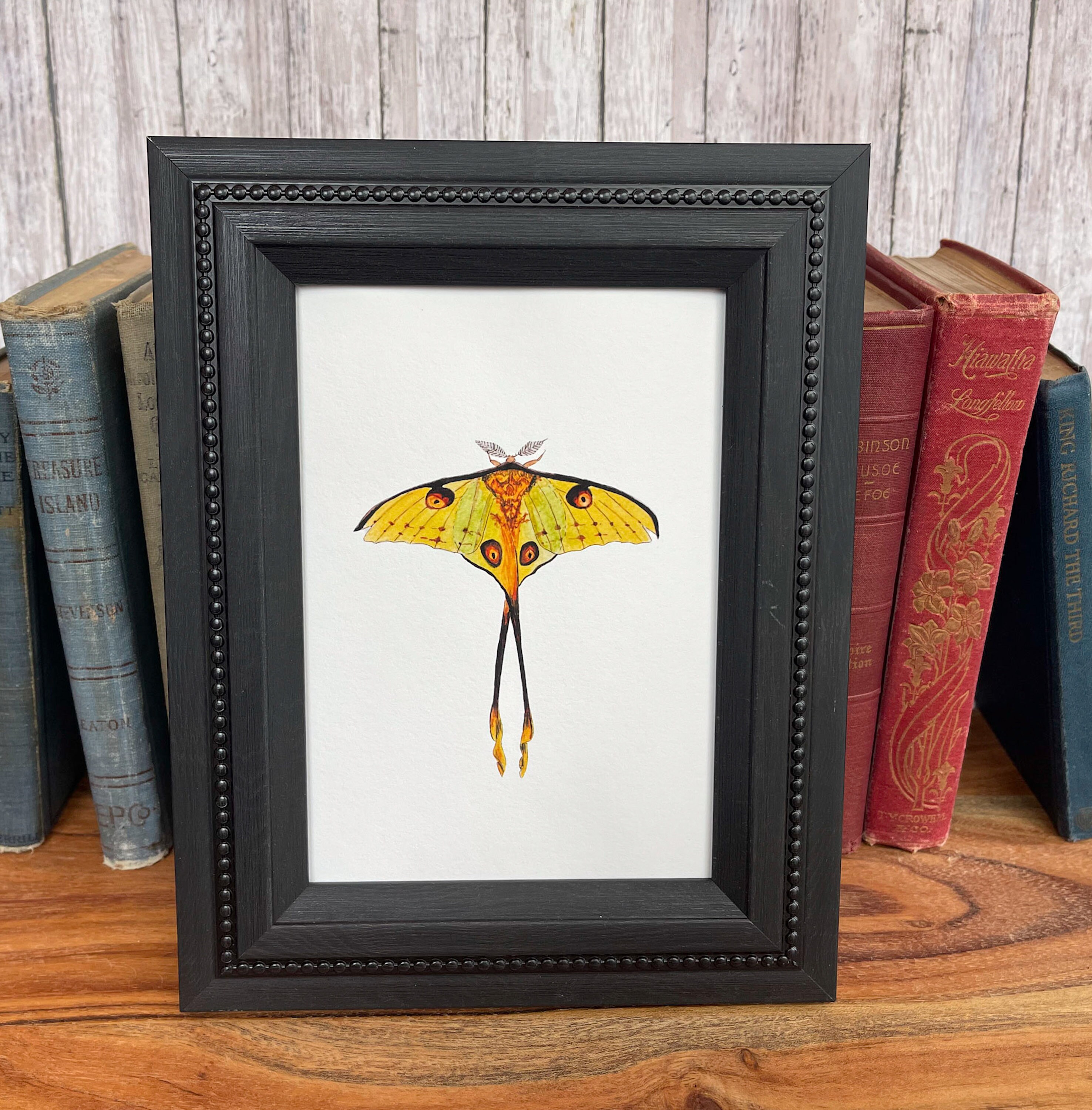 Luna Moth Watercolor Print, Giclée Fine Art Print, Moon Moth, Green ...