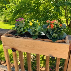 May include: A wooden planter box filled with vibrant flowering plants. The flowers display a range of colors, including pink, yellow, and orange. The planter is mounted on a wooden deck railing, with a lush green background.