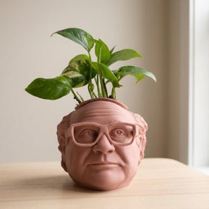May include: A terracotta-colored planter shaped like a human head with glasses, holding a green leafy plant. The planter has detailed facial features and a small opening at the top for the plant. The plant has large, green leaves.
