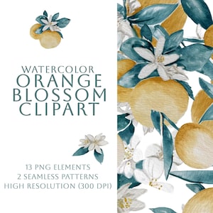 Pode incluir: Ilustração em aquarela com flores de laranjeira e laranjas em um padrão contínuo. O design inclui flores brancas, folhas verde-azuis e laranjas amarelo-douradas. O texto "Watercolor Orange Blossom Clipart" também está incluído.