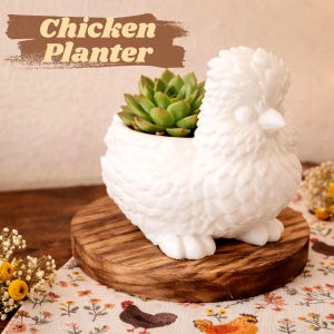 Puede incluir: Una maceta de cerámica blanca con forma de gallina y una planta suculenta en su interior. La maceta tiene un diseño detallado y texturizado y está sobre una base de madera. El texto "Chicken Planter" se muestra arriba.