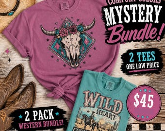 Western Mystery Tee Bundle (2 Pack) | Comfort Colors Graphic T-Shirts | Cowgirl Shirt | Vintage Western Style | Boutique Mystery Box