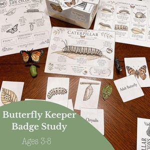 Peut inclure: Ensemble éducatif sur le cycle de vie du papillon pour les 3-8 ans. Comprend des cartes illustrées, un schéma de chenille et un modèle de papillon. Le texte "Butterfly Keeper Badge Study" est présent.