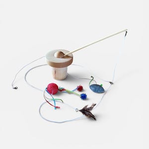 May include: A wooden cat toy wand with a cylindrical base and a long stick. Attached to the wand are white strings connected to several small play attachments, including a red textured ball, a blue fabric mouse, and a brown feathered lure.