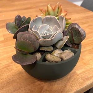 Puede incluir: Una maceta semicircular verde oscuro llena de una variedad de suculentas y pequeñas piedras de río. Las suculentas muestran tonos de verde, morado y naranja. La maceta está sobre una mesa de madera.