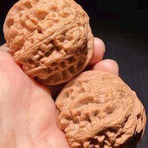 Bisonte salvaje de grado coleccionista ye niu Cabeza de león Wenwan nogal Nogales 42,5 mm - Par YN008 - Ejercitador de manos Herramienta de meditación - Juguete antiestrés de madera