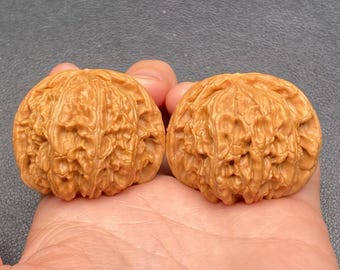 Nogal Wenwan White Lion de grado coleccionista, 42,5 mm - Par 2BSZ001 - Ejercitador de manos, herramienta de meditación - Juguete antiestrés de madera