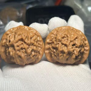 May include: Two brown walnuts with textured surfaces are displayed. The walnuts are resting on a white surface. The walnuts have a rough, irregular texture and a warm, earthy tone.