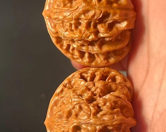 Testa di leone Xia Yun Ling Wenwan in noce, 42 mm - Coppia 2XYL001 - Strumento per esercizi manuali e meditazione - Giocattolo antistress in legno