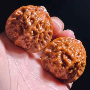 Könnte beinhalten: Zwei braune, aufwendig geschnitzte Walnussschalen werden in einer Hand gehalten. Die Schalen haben eine strukturierte Oberfläche mit detaillierten Rippen und Mustern. Die Farbe ist ein warmes, erdiges Braun.