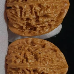 Puede incluir: Dos nueces marrones con superficies texturizadas se muestran sobre un fondo negro. Las nueces están sujetas por un paño blanco. La imagen resalta los detalles naturales de las nueces.