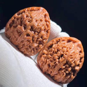 Puede incluir: Dos nueces marrones talladas intrincadamente se exhiben sobre un fondo de tela blanca. Las nueces tienen una superficie texturizada con numerosos agujeros y crestas, mostrando una artesanía detallada. La iluminación resalta el color natural y los patrones únicos de las nueces.