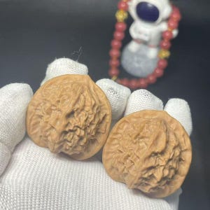 May include: Two brown walnuts with textured surfaces are held in a white gloved hand. The walnuts are the focal point, showcasing their natural, organic shapes. A small astronaut figurine and a beaded necklace are visible in the background.
