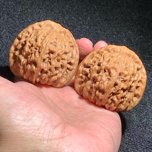 Piedra Nanjiang de grado coleccionista con cabeza de león y nogal Wenwan, 46 mm - Par NJS004 - Herramienta meditativa para ejercitar las manos - Juguete antiestrés de madera