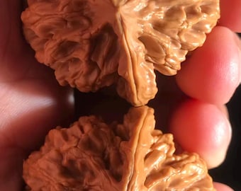 Collector's Grade Dragon Pattern lion head Tri-Ridged Wenwan walnut Walnuts 40mm-Pair TR004 - Hand Exerciser Meditative Tool-Wood Fidget Toy